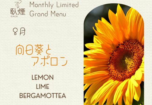 8月限定】向日葵とアポロン＆星凉(ほしすずし)